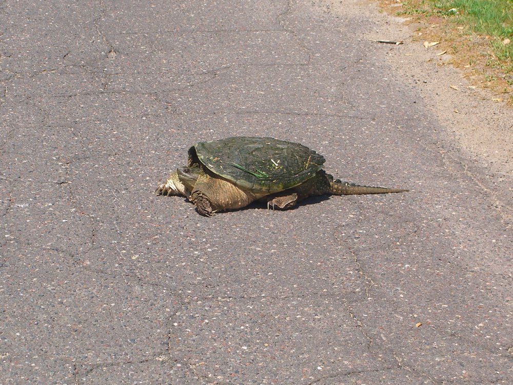 Picture 3530.jpg