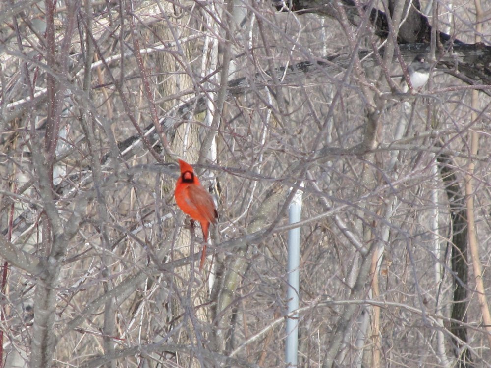 Picture 7866.jpg