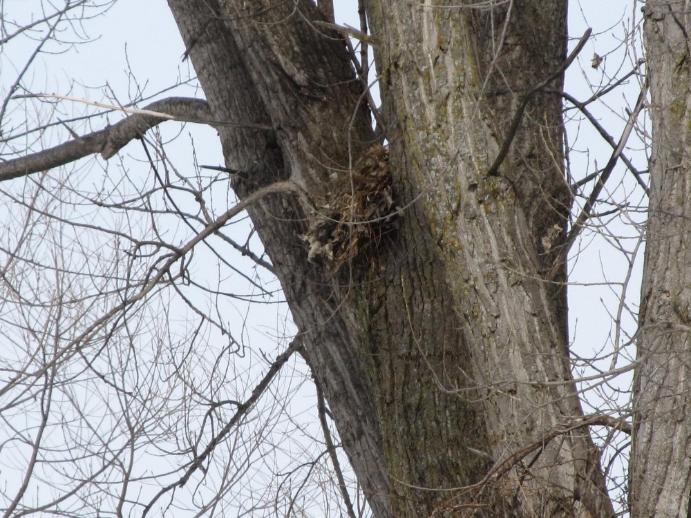 Picture 9435.jpg