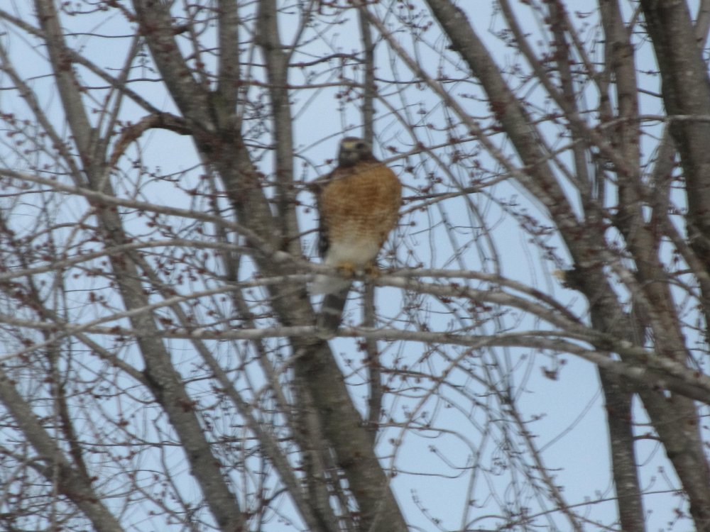 Picture 9442.jpg