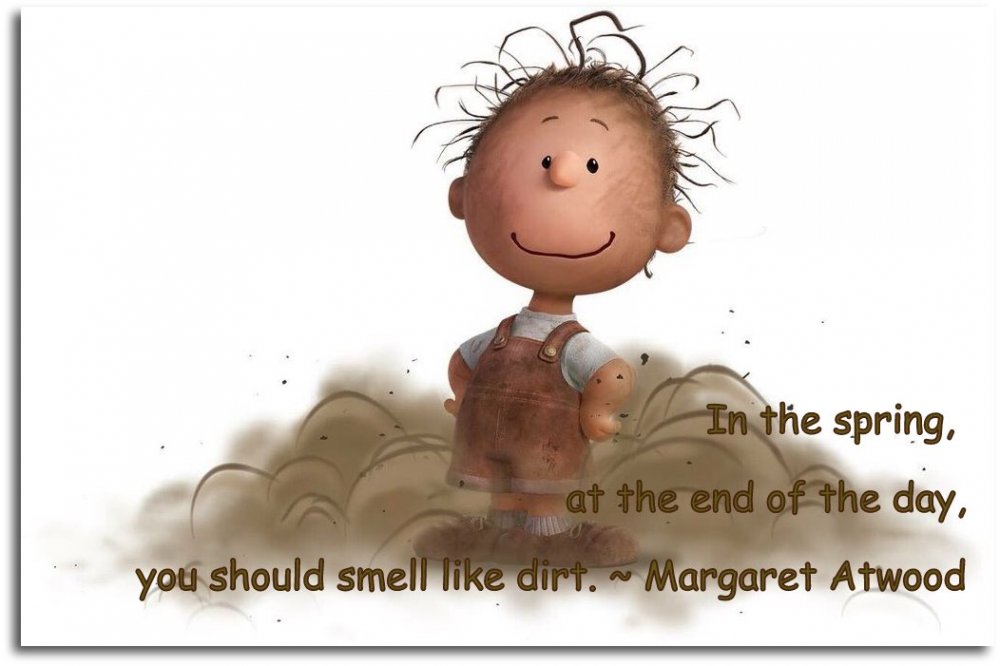 Pig Pen.jpg