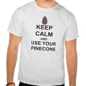 pineconeshirt.jpg