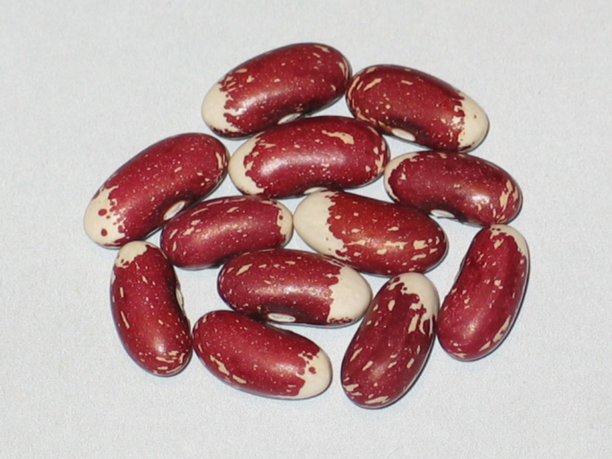 Pink Panther Reverse #2.jpg
