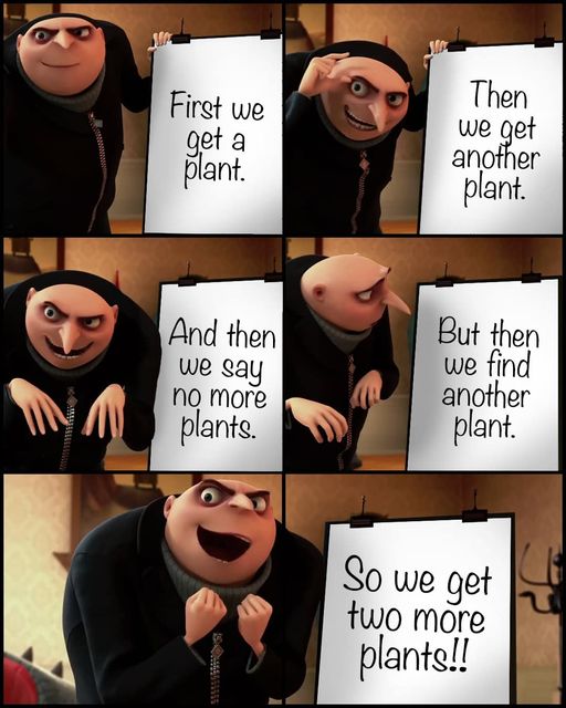 plant gru.jpg
