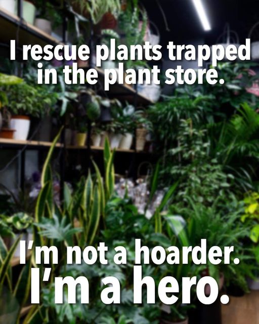 plant hero.jpg