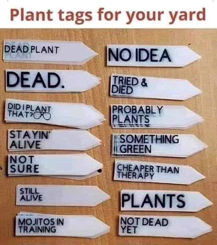 plant tags.jpg