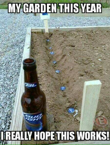 planting beer.png