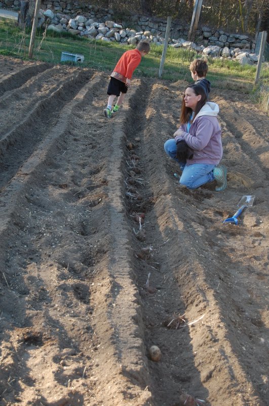 planting potatoes 2016.jpg