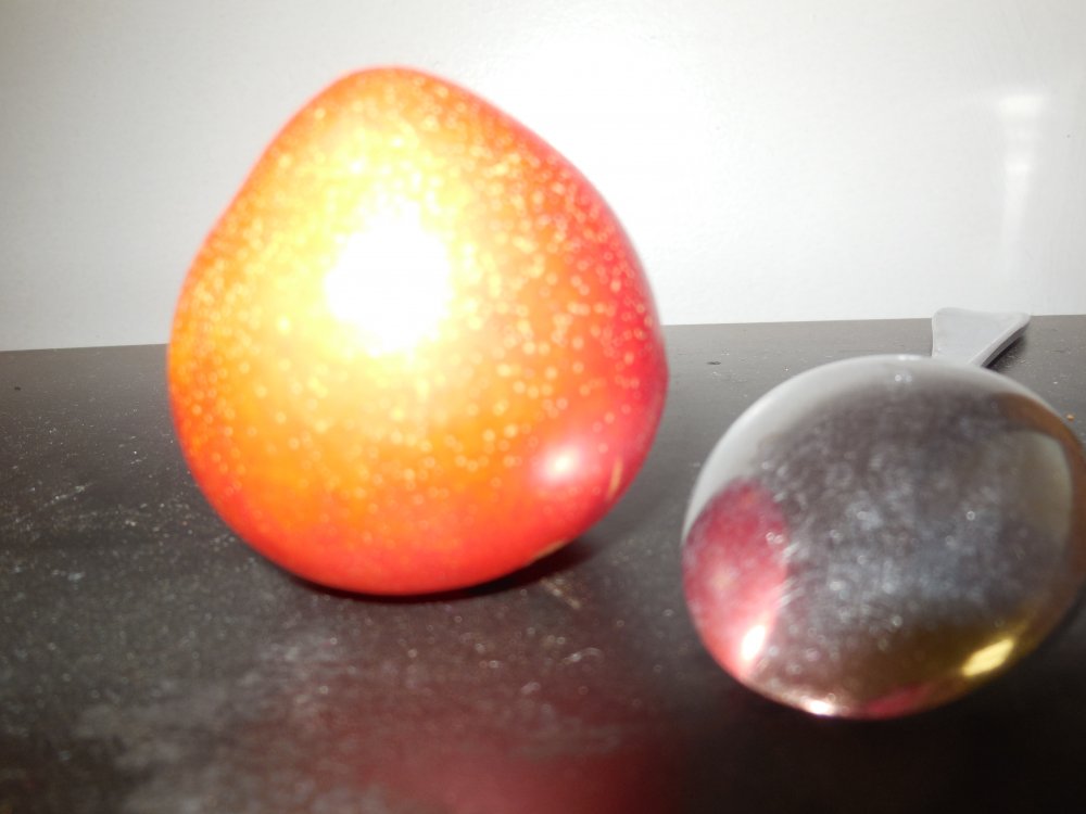 plum.JPG