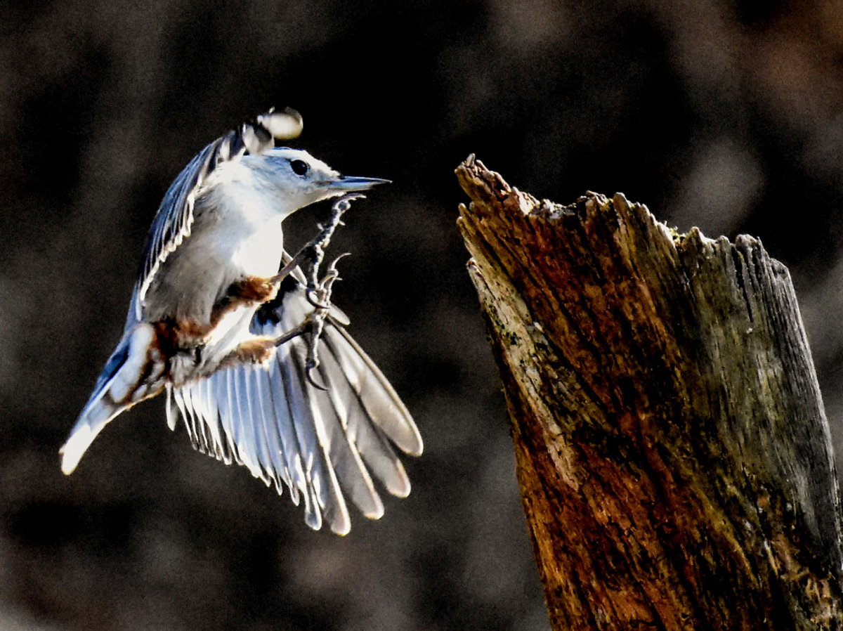 Poetry in motion.jpg