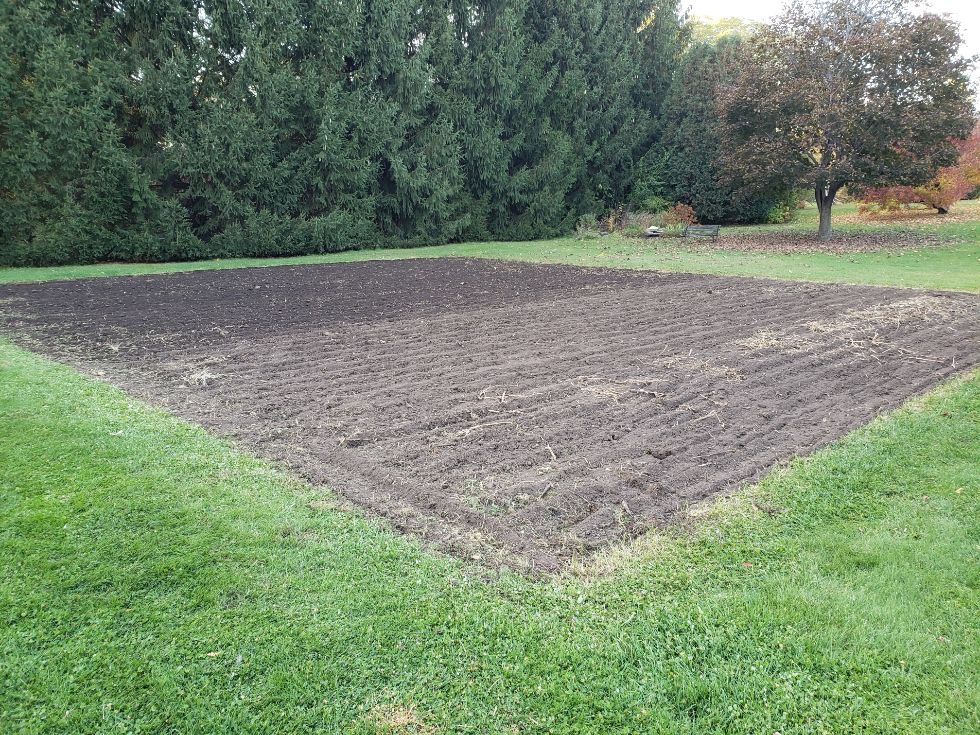 Pole Bean Acres North  October 20, 2022.jpg