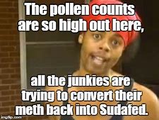 pollen 2.jpg