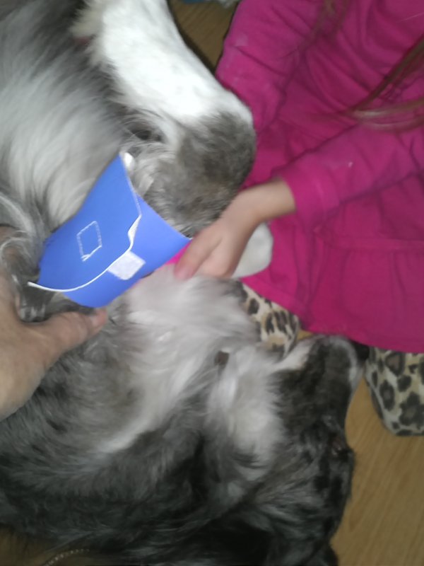 Polly gets blood pressure check.jpg