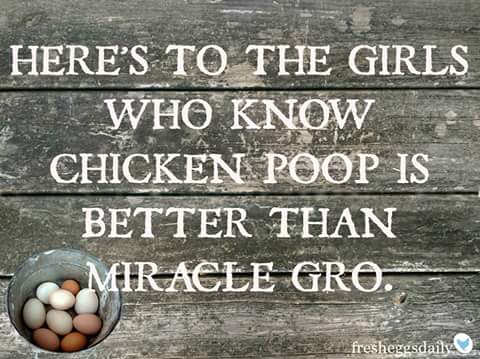 poo over mg.jpg