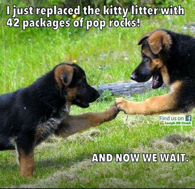 pop rocks.jpg