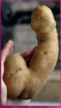 potato.jpeg