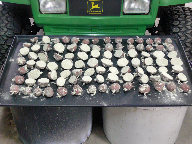 Potatoes_Ready_022017.jpg