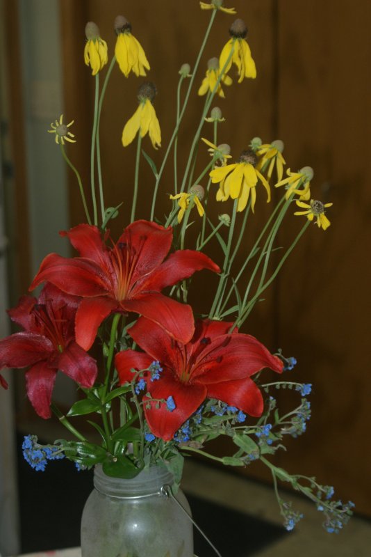 primary colors.JPG