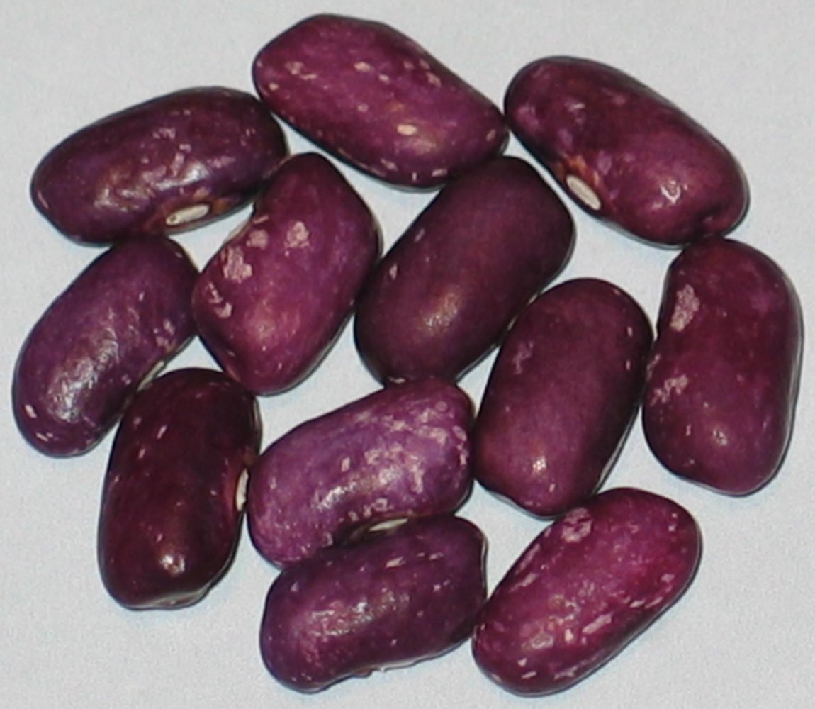 Prince Purple.jpg