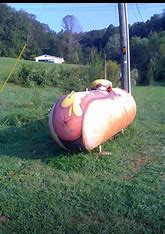 propane5.jpg