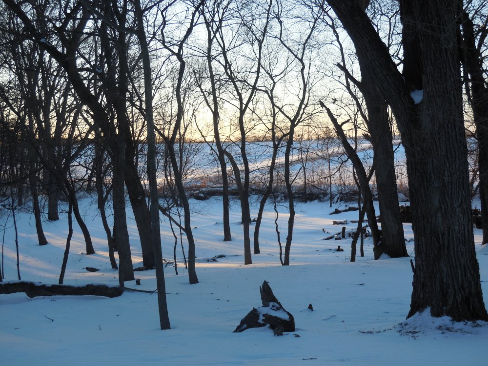 Property line in sun.JPG