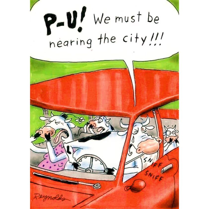 pu near a city.jpg
