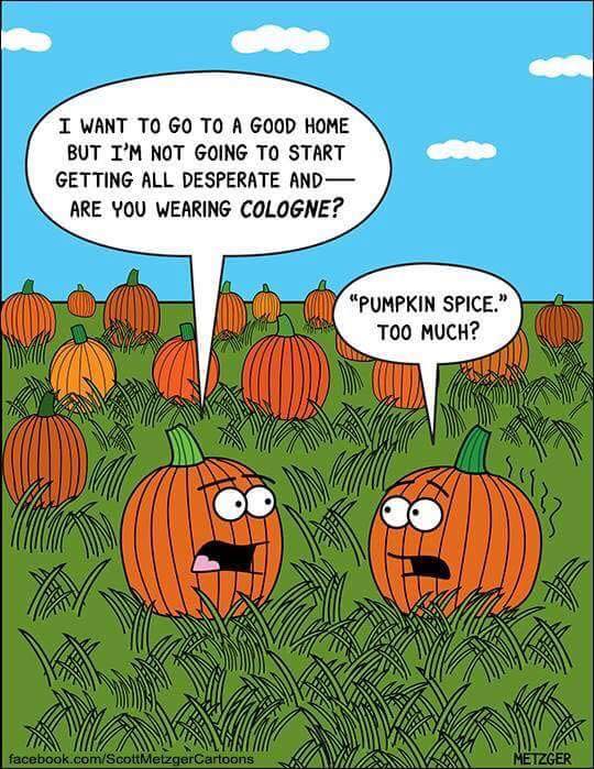 pumkin spice.jpg