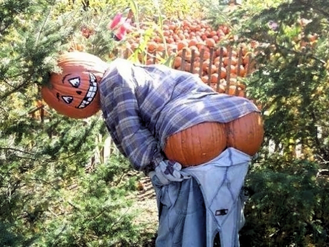 Pumpkin_Moon.jpg