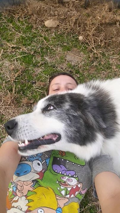 pup.jpg