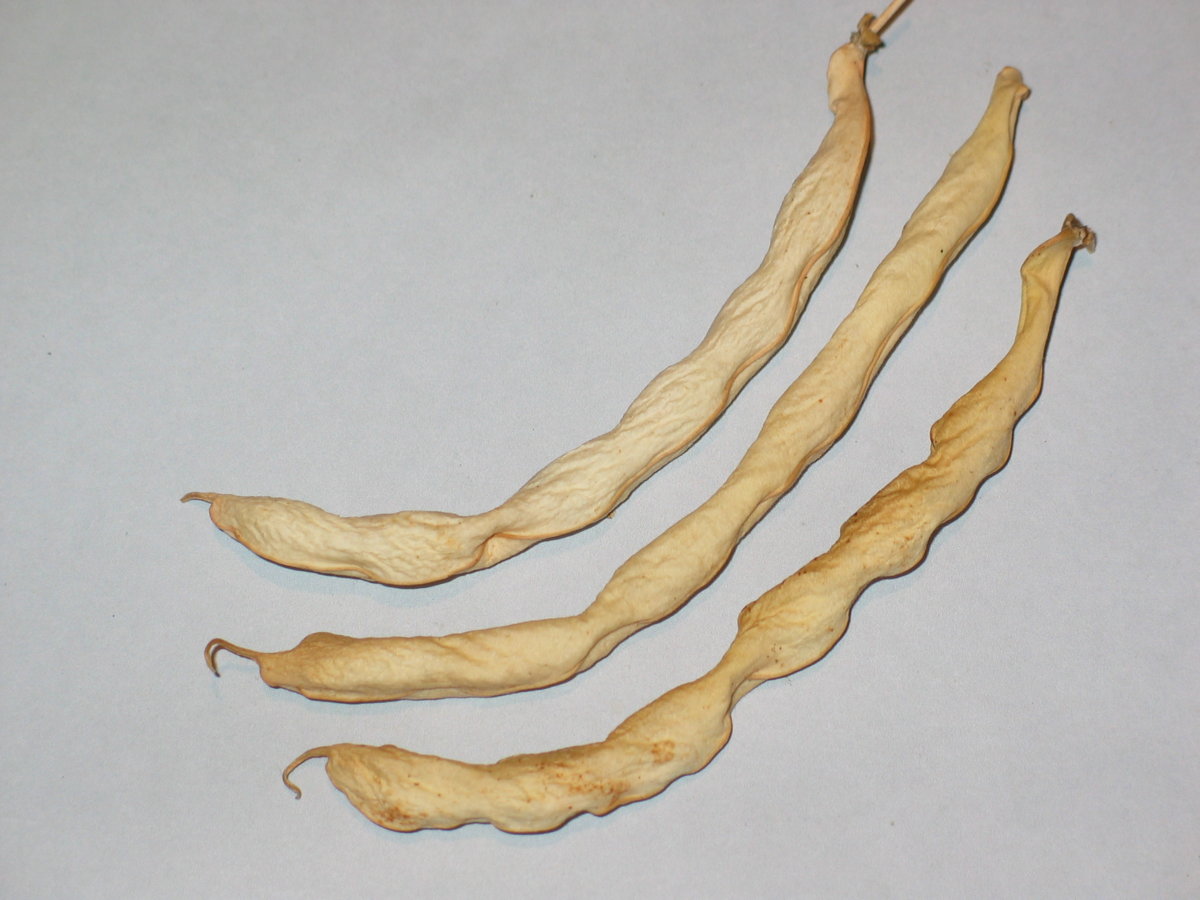 Puregold Wax #3.jpg