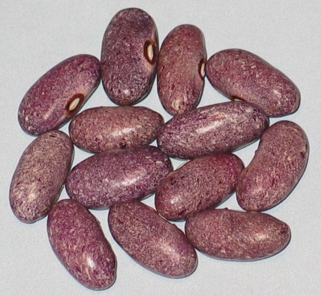 Purple Stardust.jpg