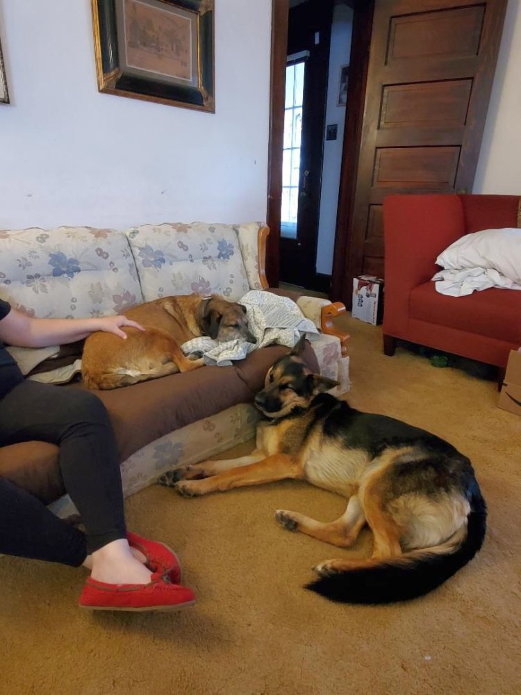 Pyg, couch, 2022.jpg