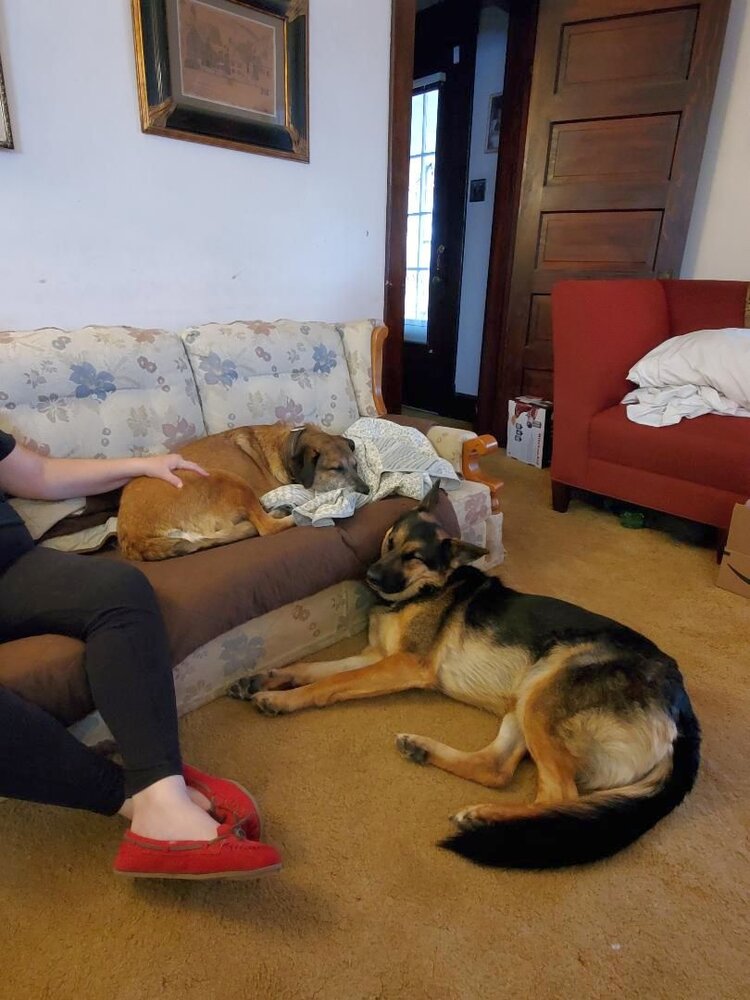 Pyg, couch, 2022.jpg