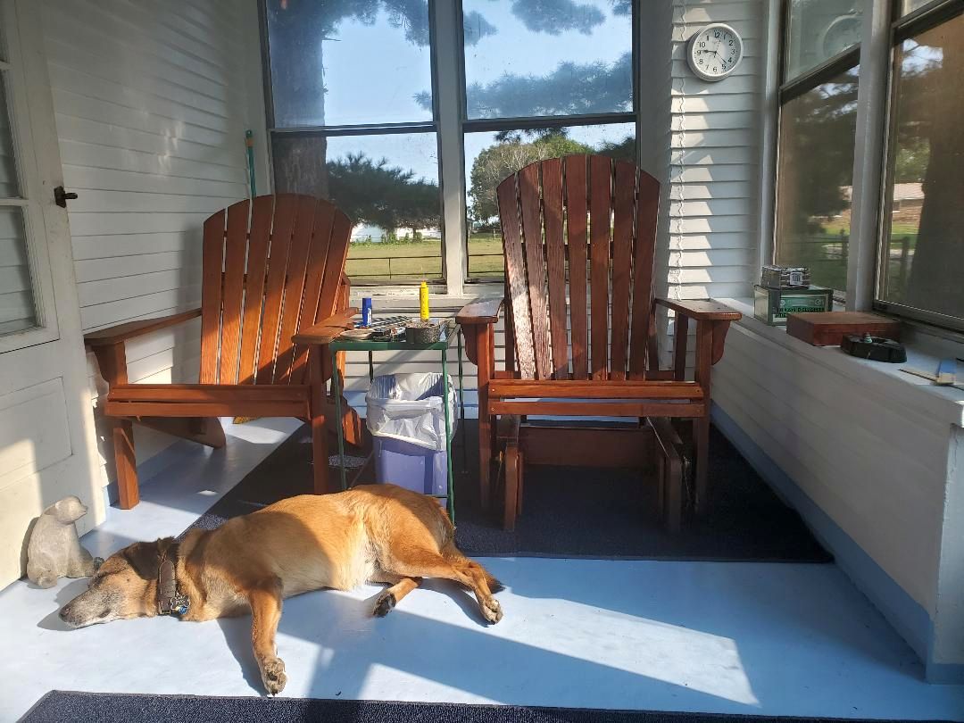 Pyg, porch , 2022, #2.jpg
