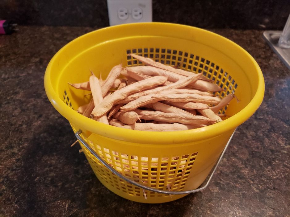 Quart Basket Idaho Marrow.jpg
