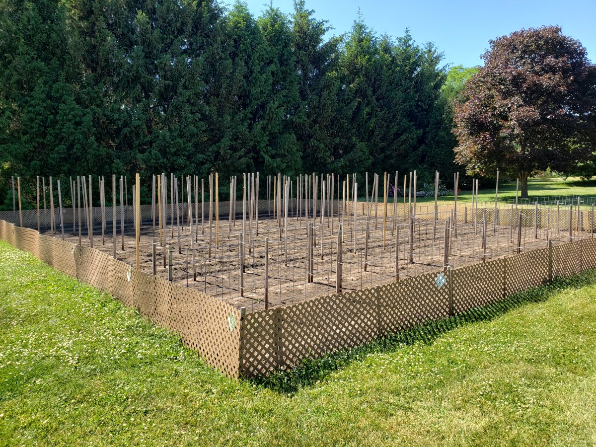 Rabbit Fence Finished June 4, 2021.jpg