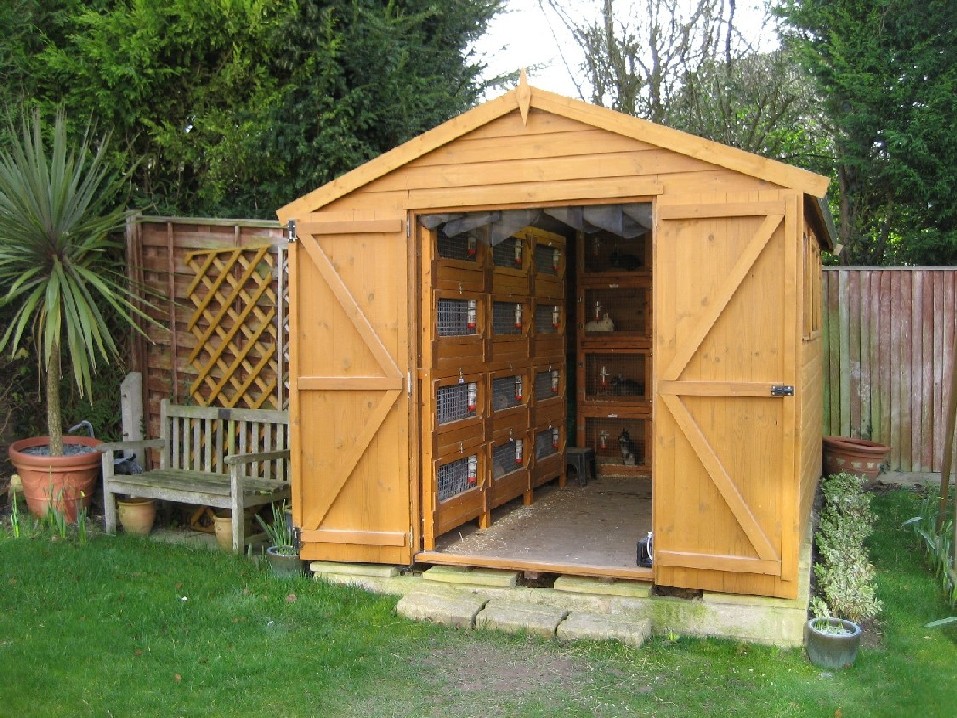 rabbit shed.JPG