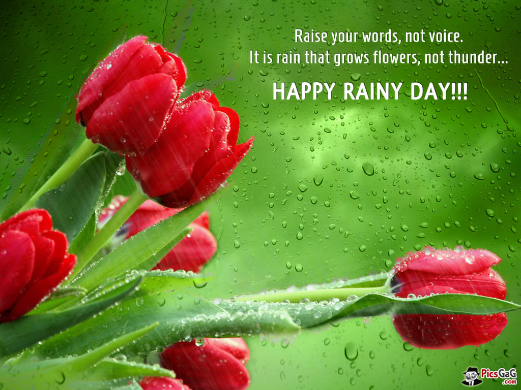 rain grows flowers.jpg