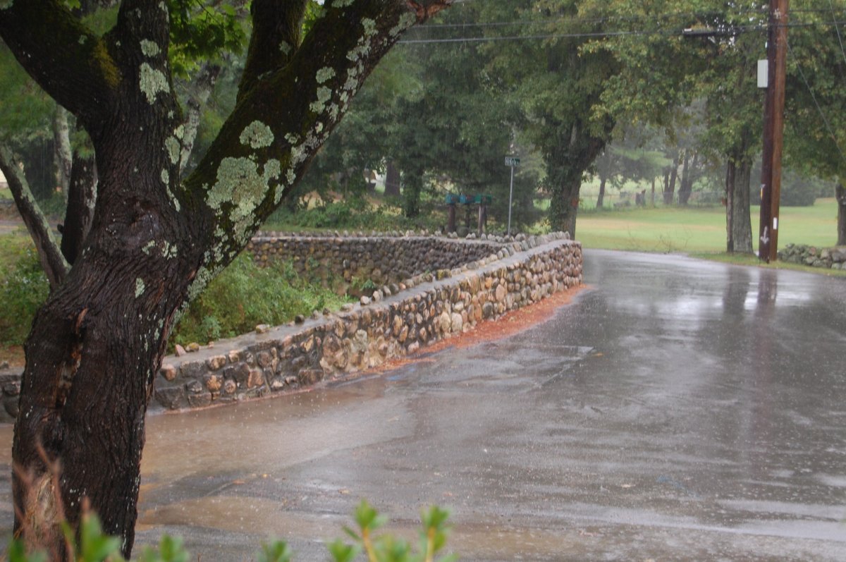 rain.jpg
