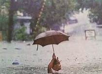 rain.jpg
