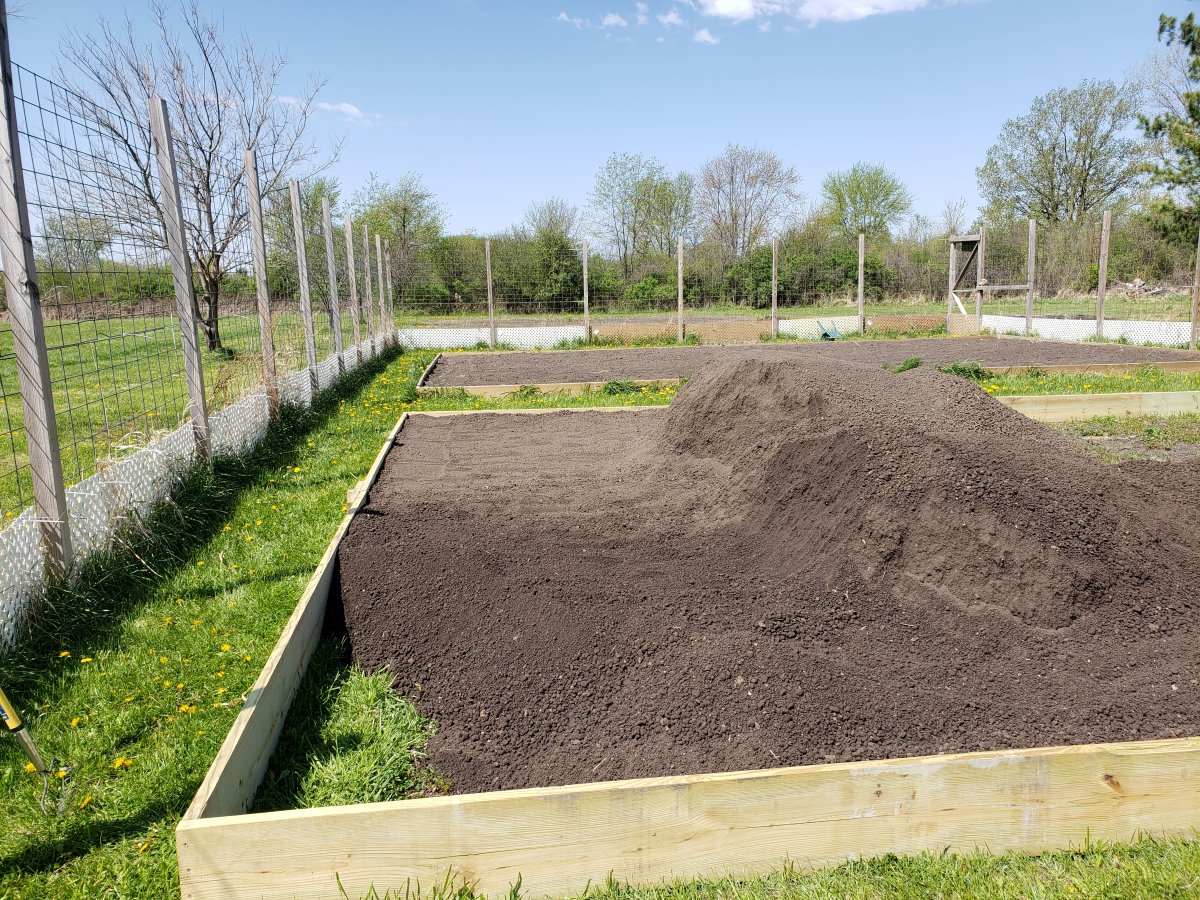 Raised Bed 2021 #10.jpg