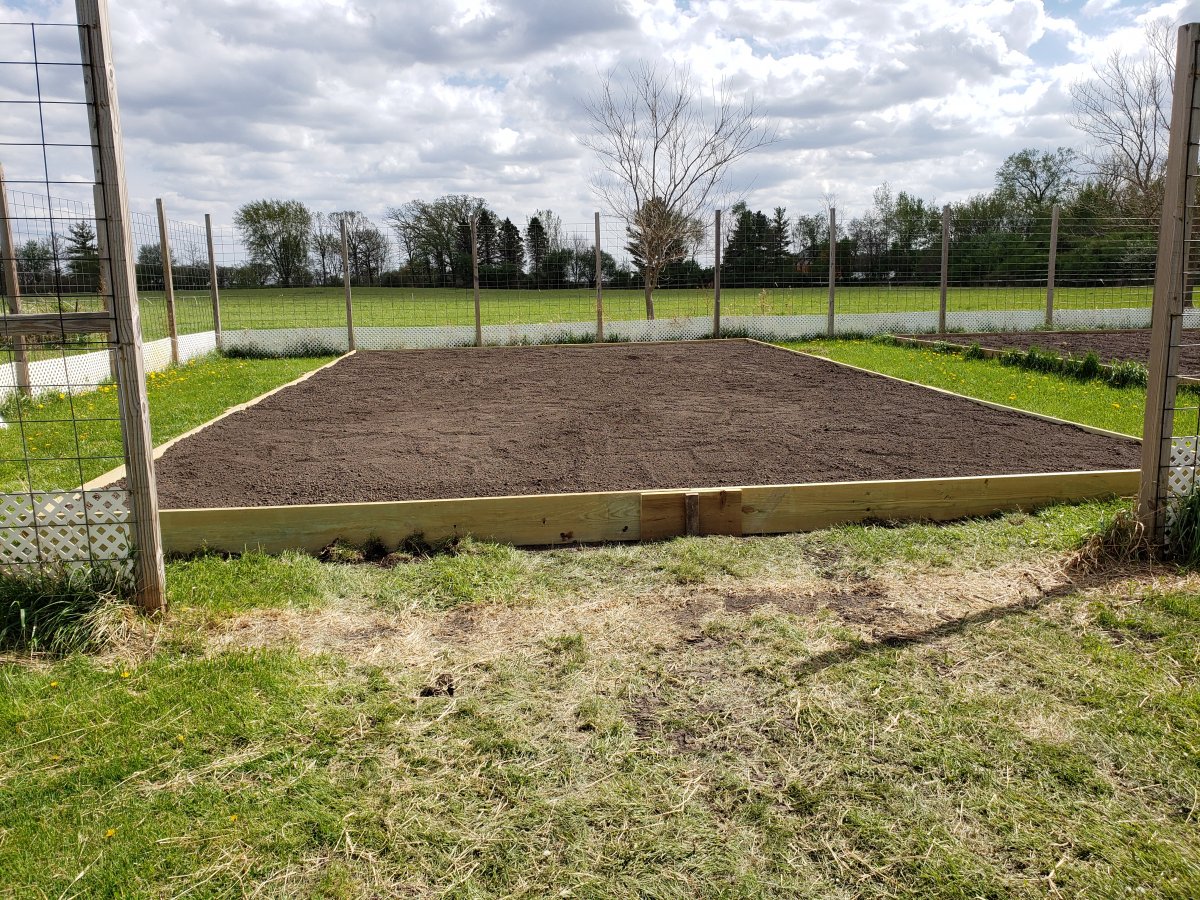 Raised Bed 2021 #13.jpg