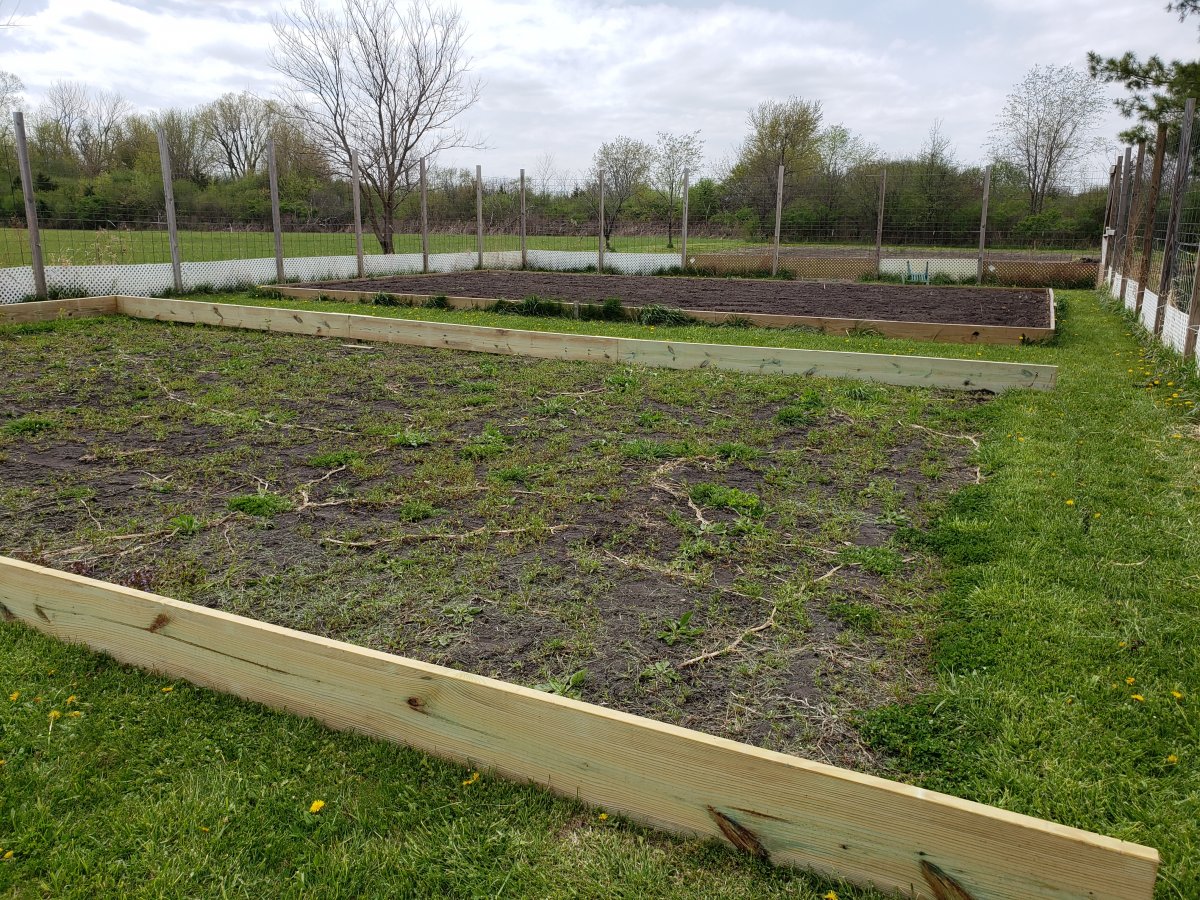 Raised Bed 2021 #2 .jpg