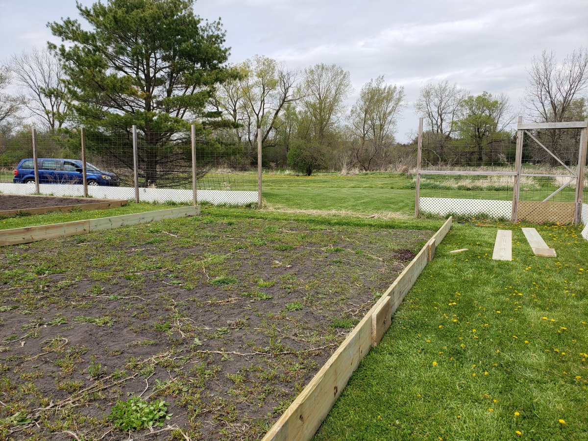Raised Bed 2021 #6.jpg