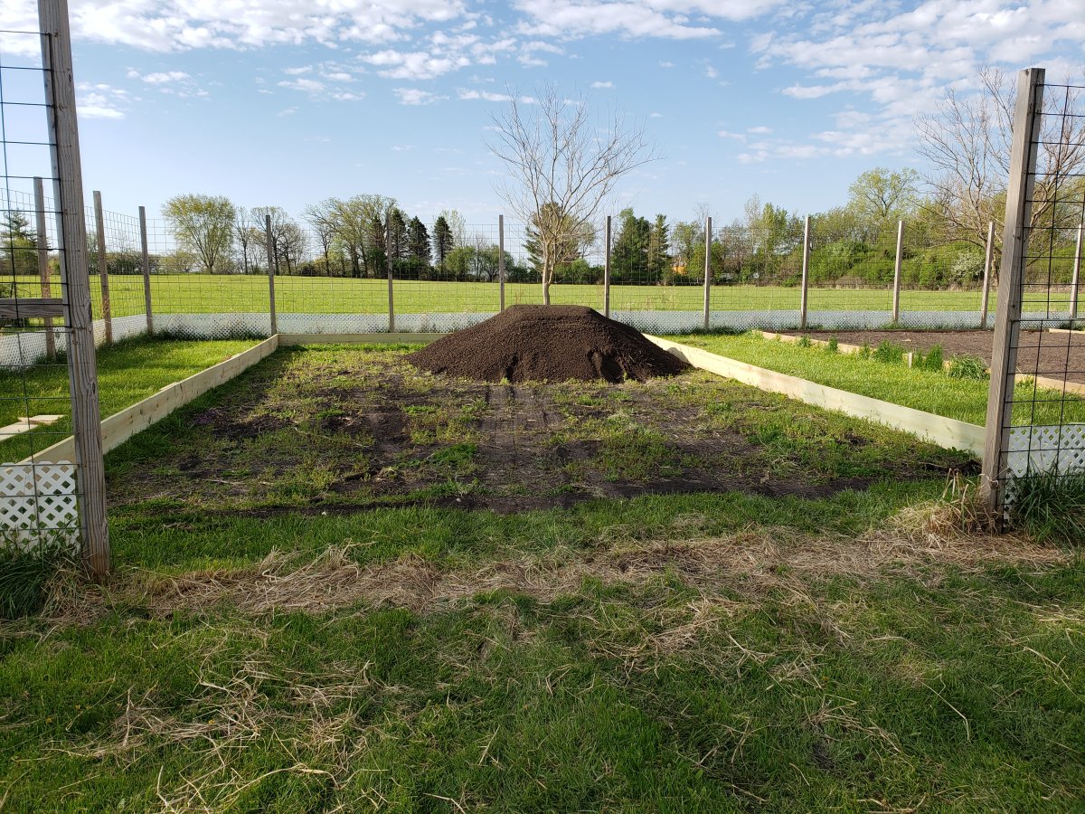 Raised Bed 2021 #7.jpg