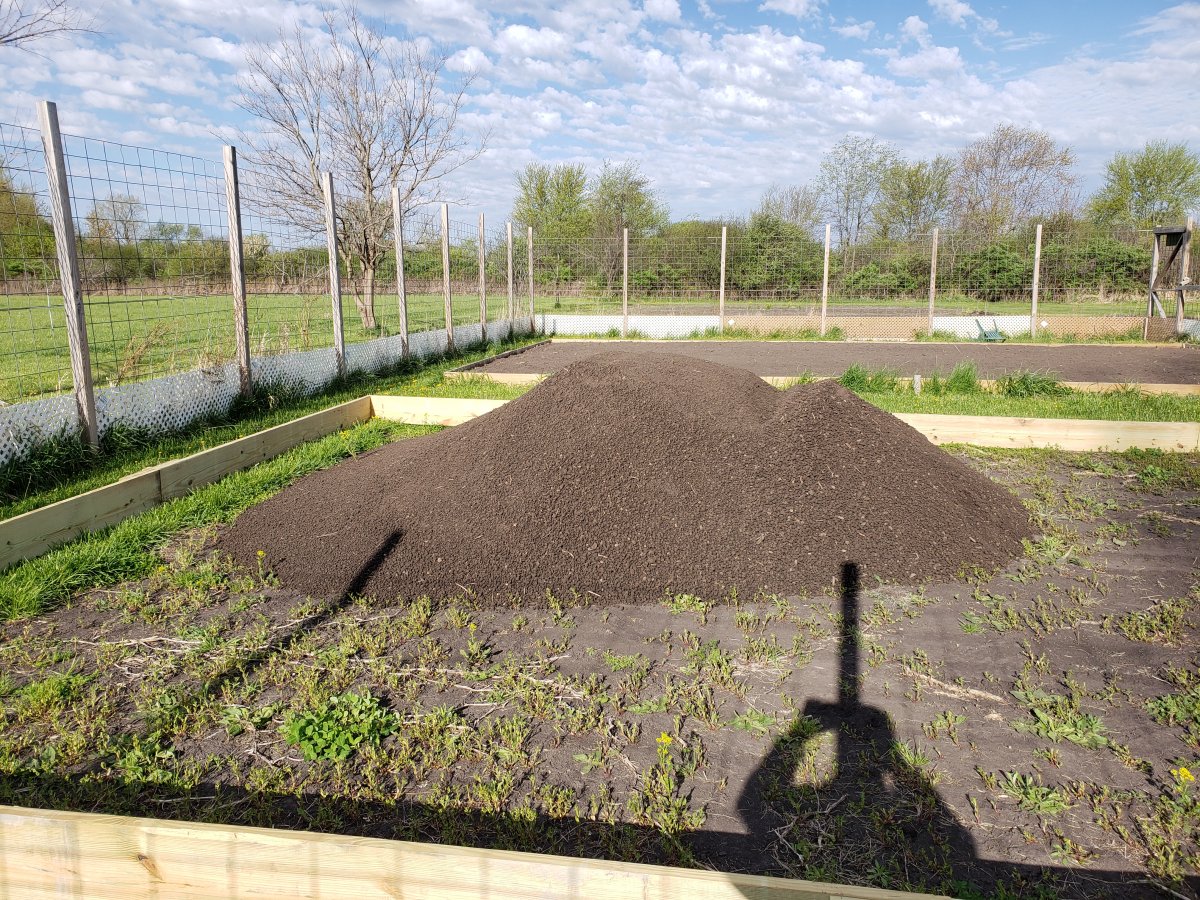 Raised Bed 2021 #8.jpg