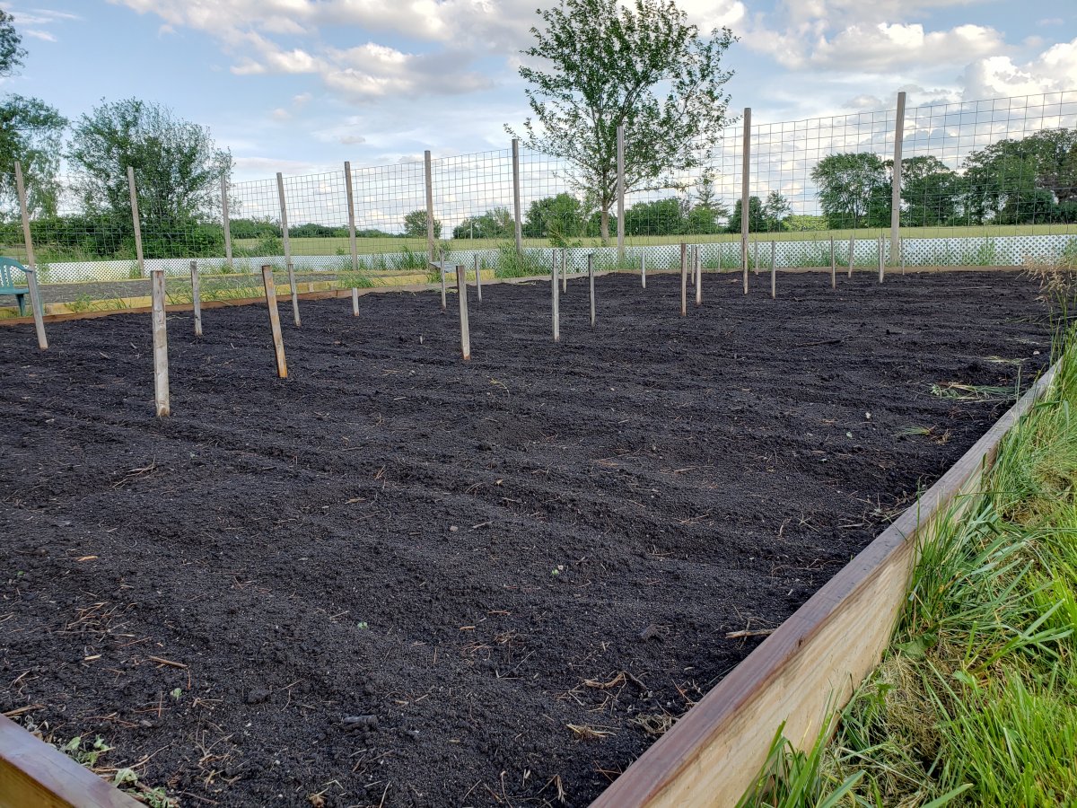 Raised Bed 2021 West Watered 6-6-21.jpg