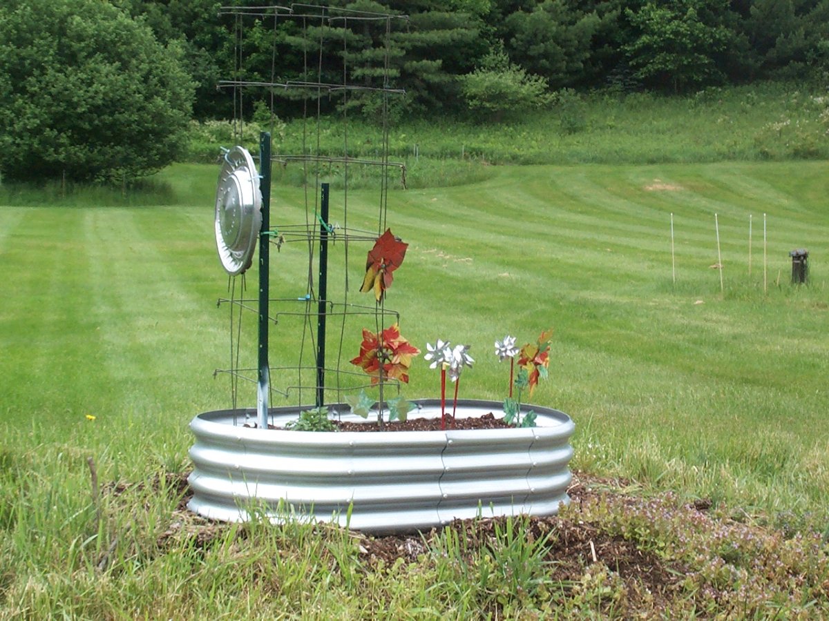 RaisedBed7Jun2023.JPG