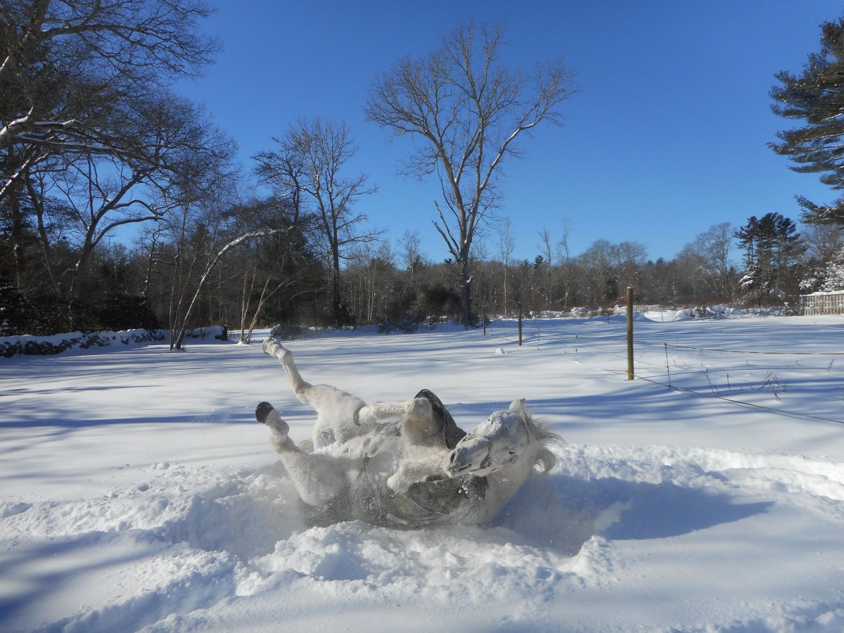 ras and snow 2.jpg