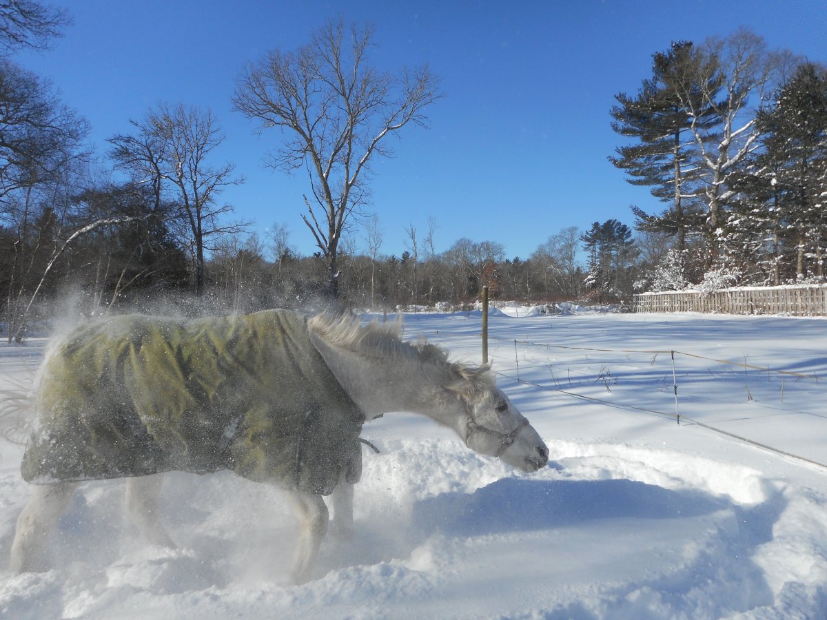 ras and snow 3.jpg
